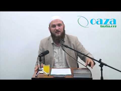 Iznošenje mišljenja i donošenje zaključaka - Mithad Ceman, prof