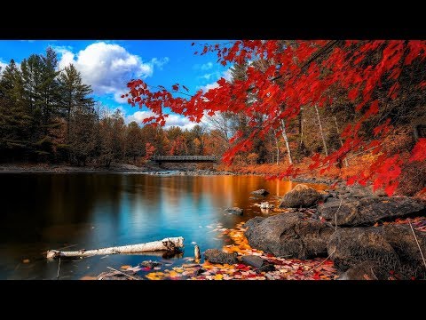 Michele Cecchi  - A Spy In Paradise (Original Mix)