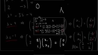 Eigenvalues in Real Life #eigenvectors #eigenvalue #mathematics