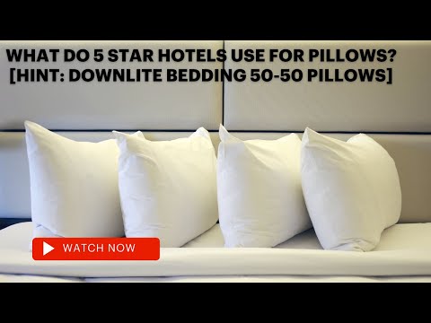 What do 5 star hotels use for pillows? [Hint: DOWNLITE Bedding 50-50 pillows]