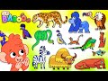 Animal ABC Learn The Alphabet For Kids With Cartoon Animals And More With Club Baboo
