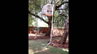 PARDO 253 TEMPORADA 2014/2015