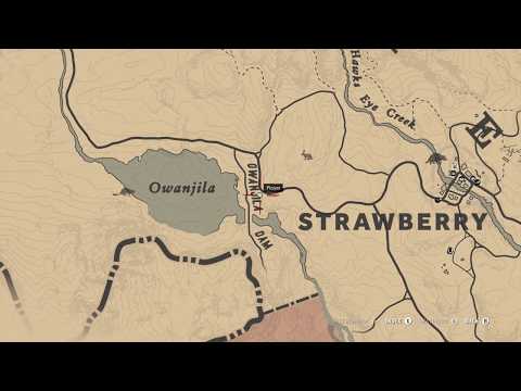 RDR 2: Getting a Perfect Beaver Pelt for the Legend of The East Satchel