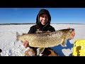 Video Thumbnail for 2 days,1 fish!