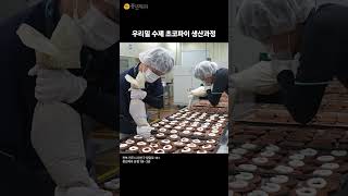 전주 풍년제과 초코파이 대량생산  #빵집 #전주맛집 #전주초코파이 #풍년제과