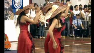 guantanamera nmh guantanamera nmh