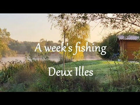 Venue videos photo 3