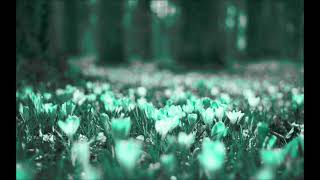 Download lagu Alice Deejay - Better off alone (Bootleg) mp3