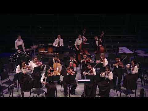 UDHS 2019 Pops Concert - String Ensemble  - Music from Brave