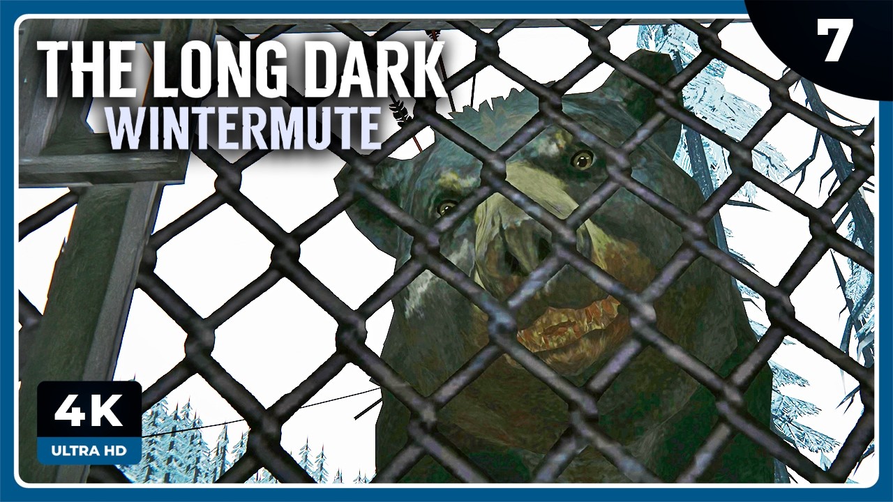 Wintermute #7 | PRIMER ENCUENTRO CON EL OSO :S | THE LONG DARK: WINTERMUTE Gameplay Español
