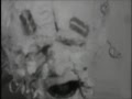 Coil - Fire Of The Mind 