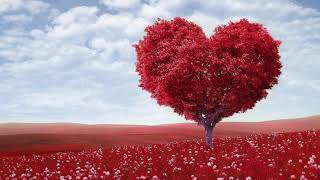 Download lagu Ungu Rasa Sayang   Lirik mp3