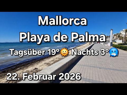 🌴Playa de Palma Compact - 🥳Day & Night at Ballermann |♥️Mallorca VLOG February 22, 2026
