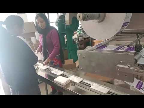 Horizontal Flow Wrap Machine