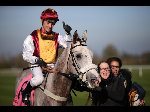München: BBAG Auktionsrennen (C) - Sieger: Royal Flag
