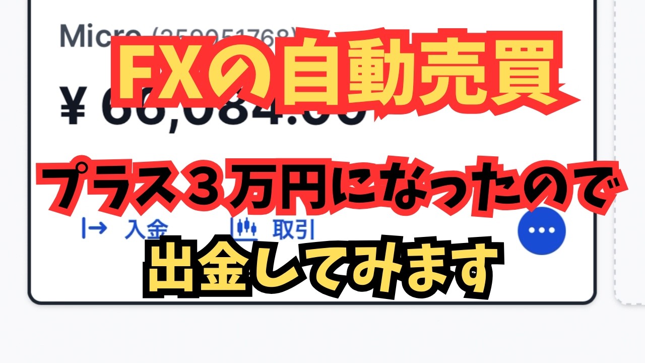 【FX自動売買】プラス３万円になったので出金できるかやってみました！