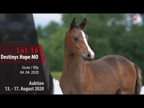Online Fohlen-Auktion v.13.-17.8.20:Lot16 Destinys Hope MO SF v.Dreidimensional I AT- Der feine Lord