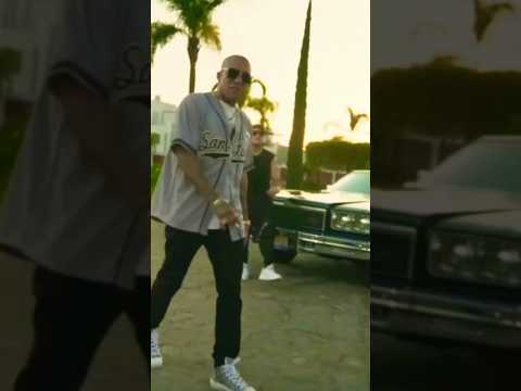 Ando chingon #melodico #leftysm #leftyporsiempre #musica #alzada #alzadafilms