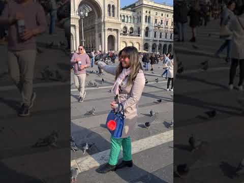 Mailand Dom und seine Tauben