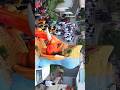 ️‍ New Trending Vinayagar Festival 2024 Status Tamil ️ Salem Pkp Pasanga Vinayakachavithi