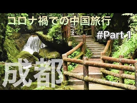 [Série Chengdu ①] Desfrutando de Chengdu na província de Sichuan, China (hot pot, paraíso dos pandas, montanha Qingcheng) maio de 2021
