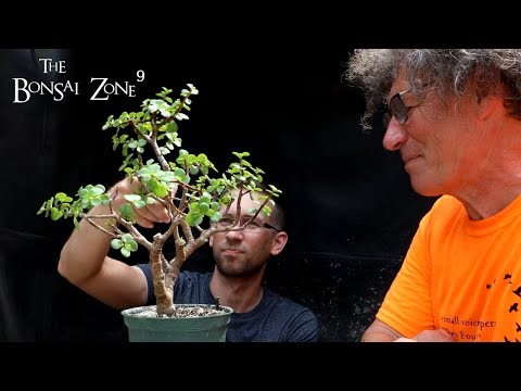 Styling With Eric and Emma, Part 3/4, The Bonsai Zone, July 2022