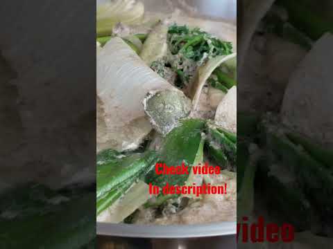 Fresh Stock for Winter Season.