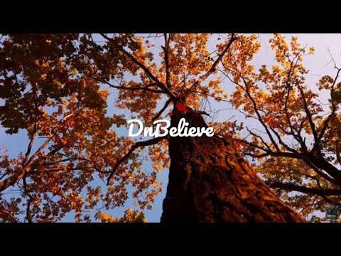 FREE DL: Velocity - Summer Jam [Video]