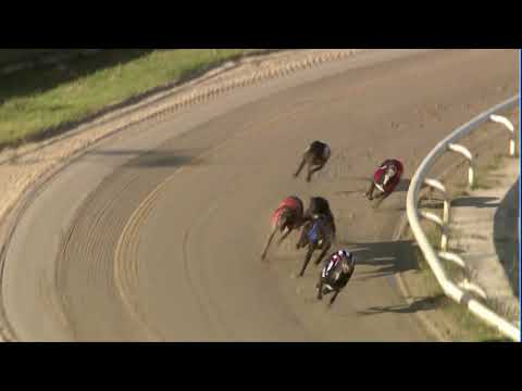 2020 SILVER SALVER - HEAT 2 - T6 KING DRAKE