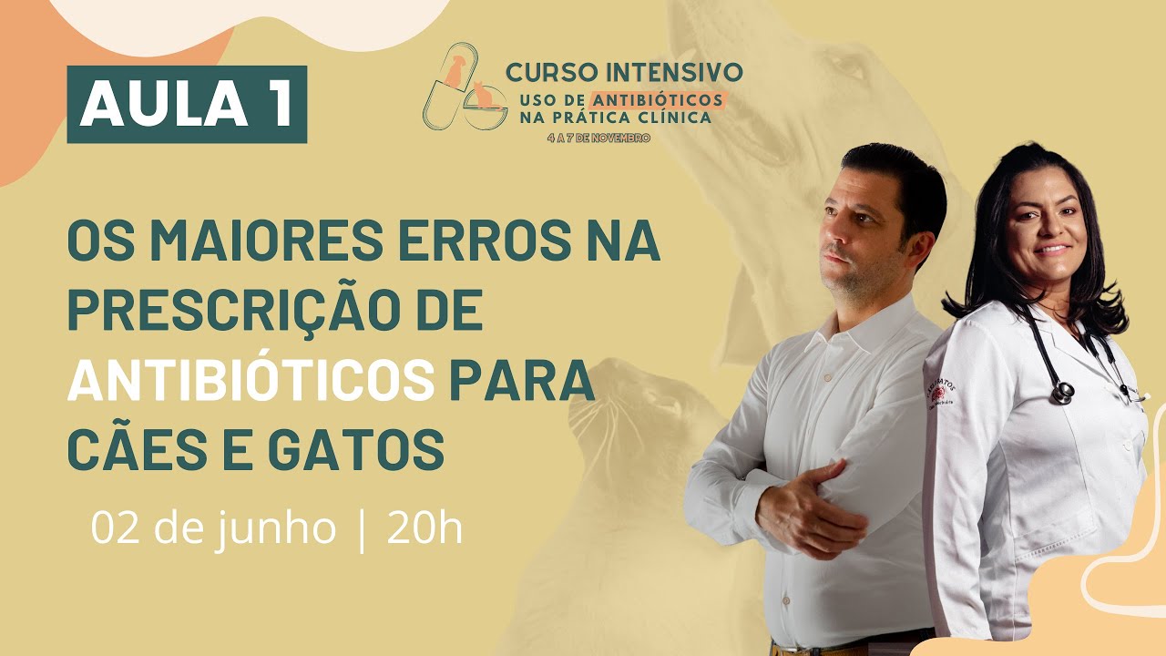 The biggest mistakes in prescribing antibiotics for dogs and cats