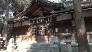 preview picture of video '寝屋川市の神社　シリーズNo.3　八幡神社'