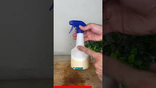 How to save money by replacing expensive cleaning products #Tips #CleaningTips #HomeTips