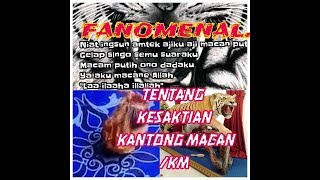 Download lagu pindah tempat secepat kilat kesaktian kantong macan/KM mp3