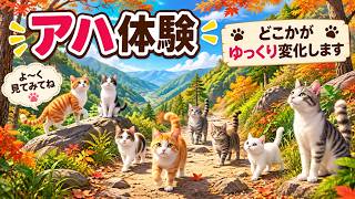【朝の脳トレ習慣で認知機能アップ】脳活で健康習慣