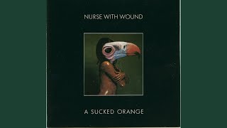 Pleasant Banjo Intro With Irritating Squeak