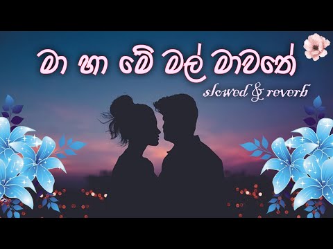 Ma ha me mal mawathe I මා හා මේ මල් මාවතේ 🖤🎶Sinhala Slowed + Reverb song 2025 #musiclovers  #video