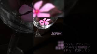 オーマイロビン！ / GUMI - ナナホシ管弦楽団　#vocaloid #ボカロ #ナナホシ管弦楽団