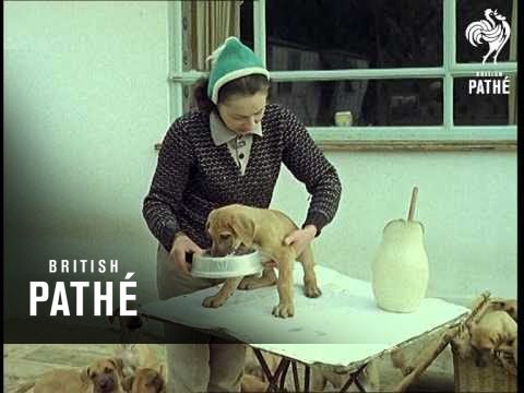 Cuts / Out Takes From Cp 367 - 1 Of 1 - Cliff Dropping Aka Cliff Hanging (1962)