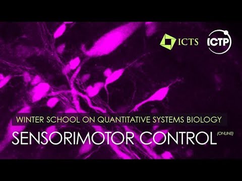 Olfactory Search and Navigation (Lecture 1) by Antonio Celani