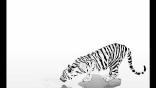 Tiger & Woods - Gin Nation