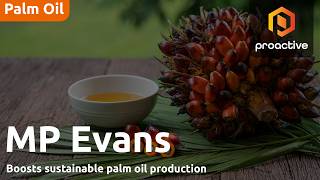 MP Evans CEO on halving carbon emissions while growing sustainable palm oil