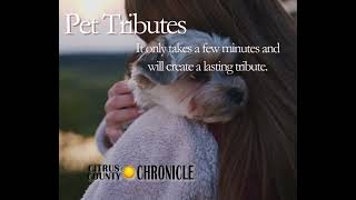 Pet Tributes