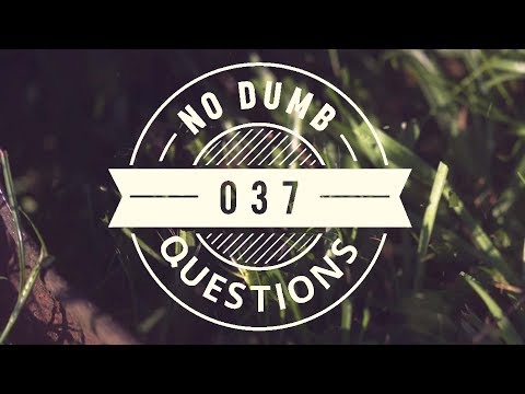 No Dumb Questions 037 - Media, Magic and Managua