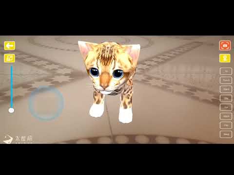 Cute Cat Ar