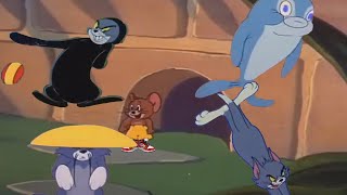 (YTP) Tom and Jerrys Sus Escapades