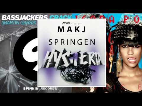 MAKJ vs. Bassjackers vs. Martin Garrix - Springen Is Crackin (Diskid Mashup)