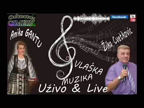 ZIKA CVETKOVIC i ANIKA GANTU UZ ORKESTAR CIMERI UZIVO SA VESELJA SNIMANO