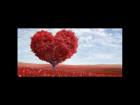 L'amore qui non passa - cover - Nicolò Salvatore Polizzi
