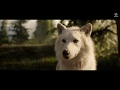 The Call Of The Wild Ending Scene Movie Clip HD 2020