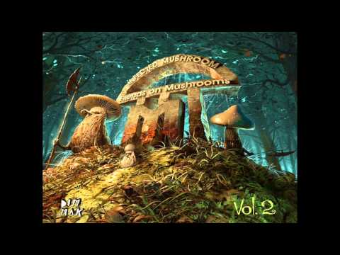 Infected Mushroom - Friends On Mushrooms Vol. 2 [Full Album 2013] [HD]